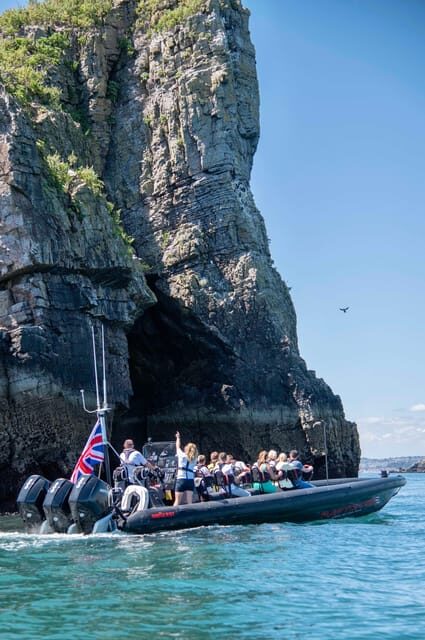 Torquay: High-Speed RIB Boat Ride - Wildlife Watching and Natural Beauty