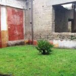 Torre Annunziata: Oplontis Entry Ticket with Audio Guide - Why This Experience Delivers Great Value