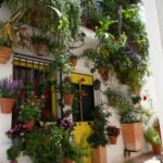 Torremolinos-Benalmádena: Jeep EcoTour - Authentic Andalusia - The Sum Up