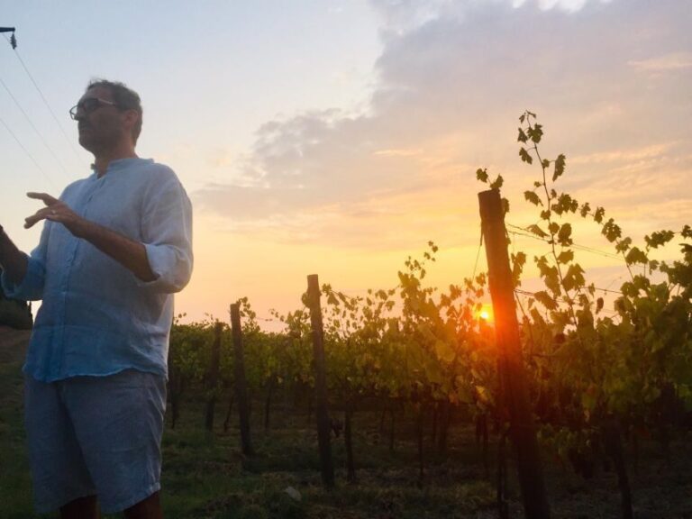 TOSCANA -Guided Tour, Wine Tasting, and Local/Syrian Bites - Who Should Consider This Tour?