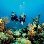 Tossa de Mar: Scuba Diving Experience for Beginners - What Makes This Experience Stand Out?