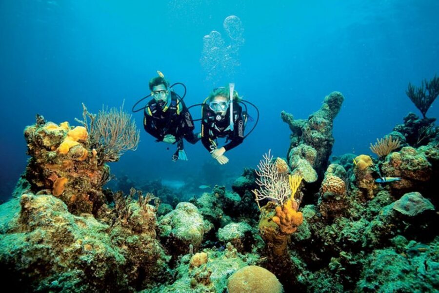 Tossa de Mar: Scuba Diving Experience for Beginners - What Makes This Experience Stand Out?
