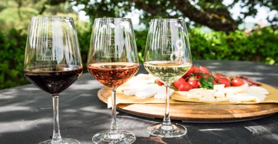 Total Immersion Experience Italian version - Is It Worth the Price?