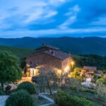 Total Immersion Wine Tour in Chianti - What to Expect During the Tour