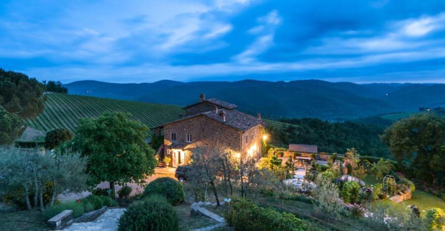 Total Immersion Wine Tour in Chianti - What to Expect During the Tour