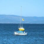 Toulon Private Tour - In-Depth Look at the Toulon Private Tour