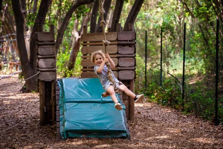 Toulon: Tree climbing course - Practical Tips for Visitors