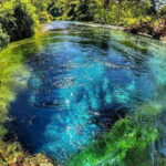 Tour and guide Blue Eye  Butrint - The Value of the Experience