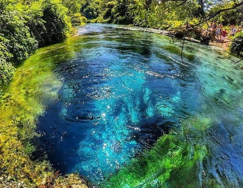 Tour and guide Blue Eye  Butrint - The Value of the Experience