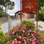 Tour and Wine Tasting between Langhe and Monferrato - Key Points