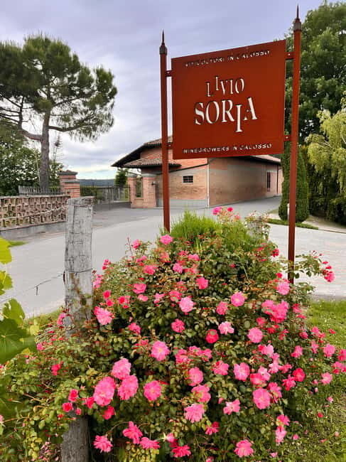 Tour and Wine Tasting between Langhe and Monferrato - Key Points