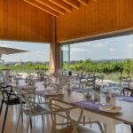 Tour in Valpolicella: wine, oil, and peach tasting - FAQ