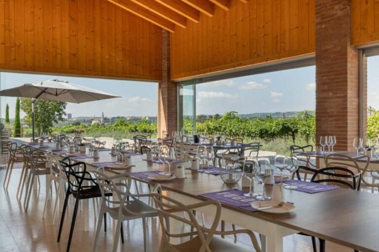 Tour in Valpolicella: wine, oil, and peach tasting - FAQ