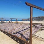 Tour of Nazare by car - Who Should Consider This Tour?