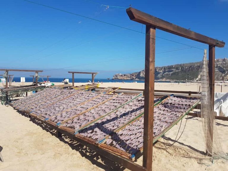 Tour of Nazare by car - Who Should Consider This Tour?