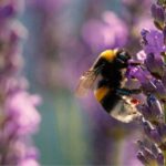 Tour of the Bandol and Côtes de Provence vineyards + Lunch - Who Will Love This Experience?