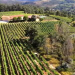 Tour of the vineyards, organic vegetable garden and animal farm. - Who Should Consider This Tour?