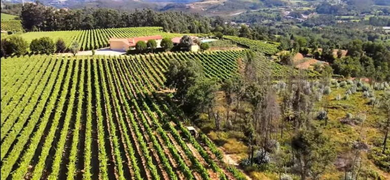 Tour of the vineyards, organic vegetable garden and animal farm. - Who Should Consider This Tour?
