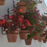 Tour por Estepona Centro - What’s Included and What’s Not