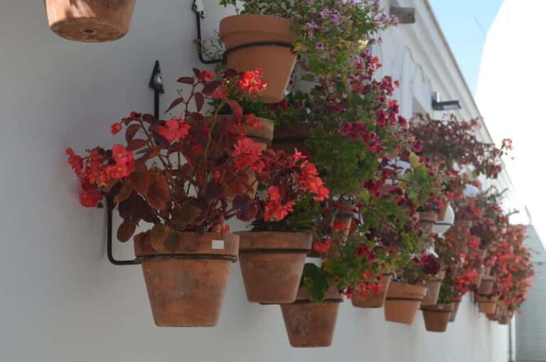 Tour por Estepona Centro - What’s Included and What’s Not