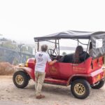 Tour Porto: Classic Adventure in Electric Tuk Tuk - Itinerary Breakdown and Highlights