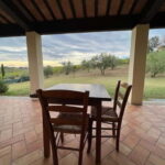 Tour & tasting at Tenuta la Viola - Practical Details and Value