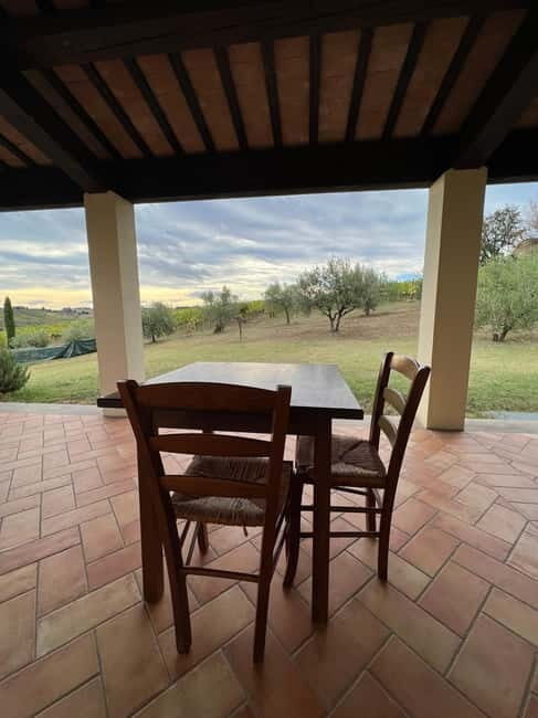 Tour & tasting at Tenuta la Viola - Practical Details and Value