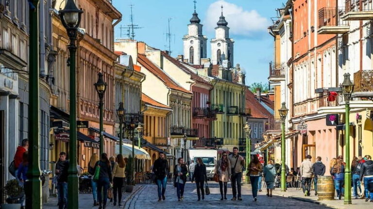Tours in Kaunas Old Town - Who Should Consider This Tour?
