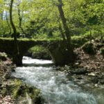Trabzon: Sumela Monastery Day Tour with Lunch - Practical Details and Insights