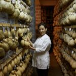 Traditional Cheese Factory Visit with Tasting near Isernia - The Practicalities: What Travelers Should Know