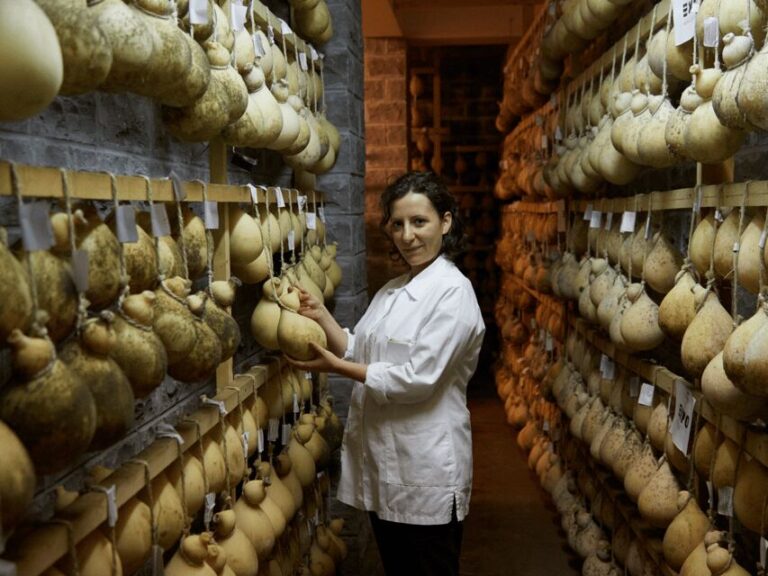 Traditional Cheese Factory Visit with Tasting near Isernia - The Practicalities: What Travelers Should Know