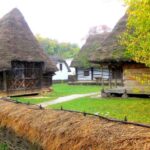 Traditions in Bucharest: Village Museum and Wine Tasting - Authentic Insights from Reviewers