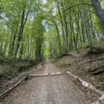 Trail Running Adventure - An In-Depth Look at the Trail Running Experience