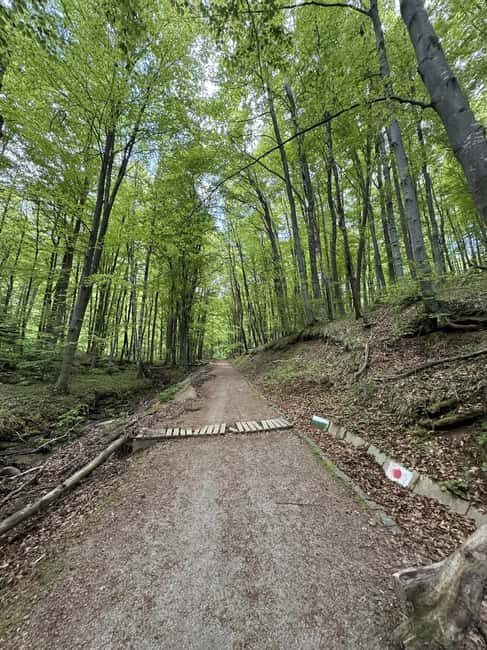 Trail Running Adventure - An In-Depth Look at the Trail Running Experience