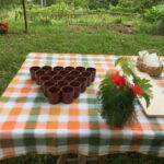 Tramonti: "Re Fiascone" Tomato Tasting - The Sum Up: Is This Tour for You?