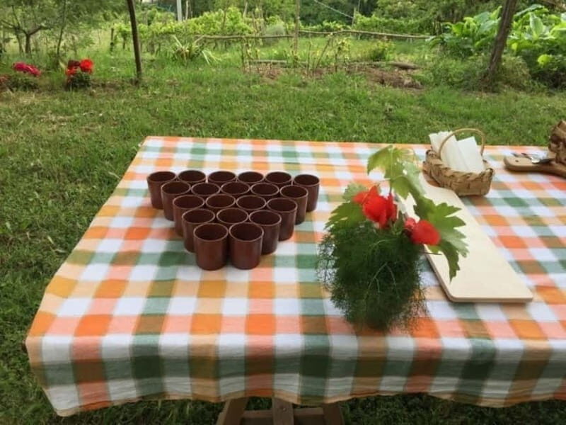 Tramonti: "Re Fiascone" Tomato Tasting - The Sum Up: Is This Tour for You?