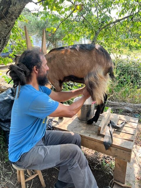 Trancoso: Farm eco-Tour with Tasting - The Sum Up