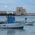 Trani: Walking Tour - Who Will Love This Tour?