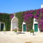Trani Wine Tours: Flavors of Puglia - Who Should Consider This Tour?