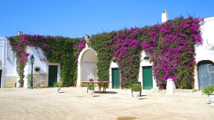 Trani Wine Tours: Flavors of Puglia - Who Should Consider This Tour?