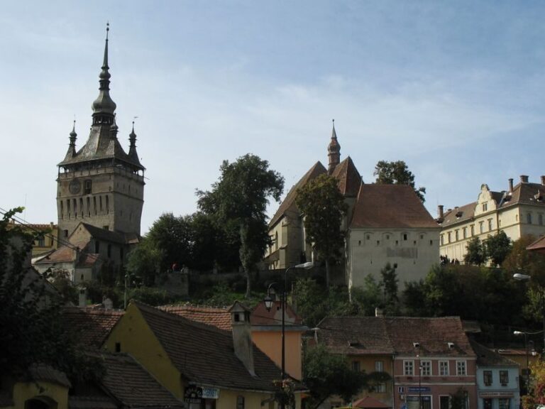 Transylvania: Dracula's Castle and Birthplace Tour - What the Reviews Say