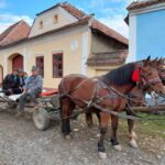 Transylvania Gems: Sighisoara, Medias, Biertan & Gypsy life - Exploring Medias: The Medieval City with a Secret