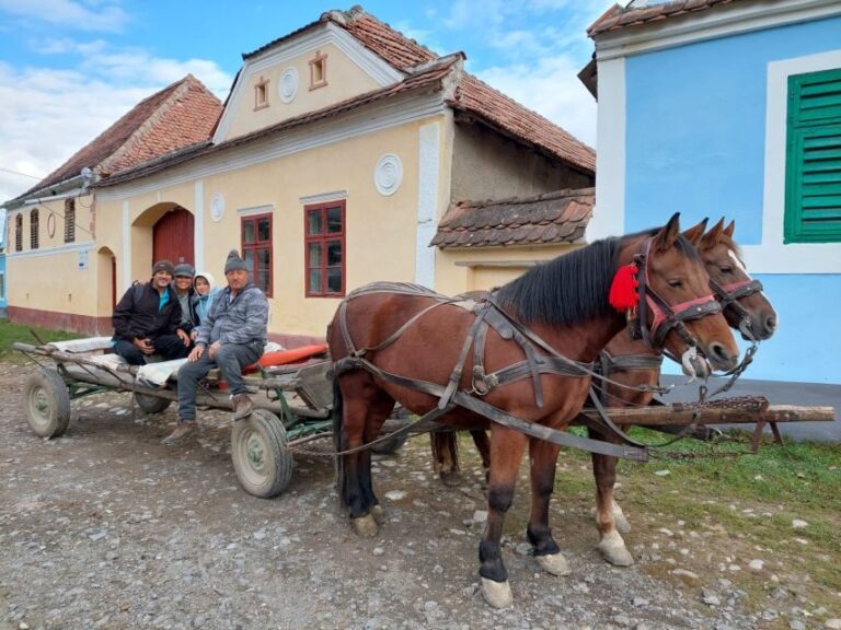 Transylvania Gems: Sighisoara, Medias, Biertan & Gypsy life - Exploring Medias: The Medieval City with a Secret
