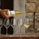 Trapani: Organic Wine Tasting with the Producer - Who Is This Tour Best For?