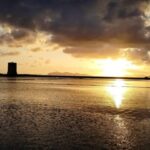 Trapani: Salt Pans Sunset Tour and Flamingo Way - The Itinerary in Detail
