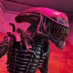 Trash Art Museum: Hungary's First Scrap Metal Exhibition - The Experience: What You Can Expect