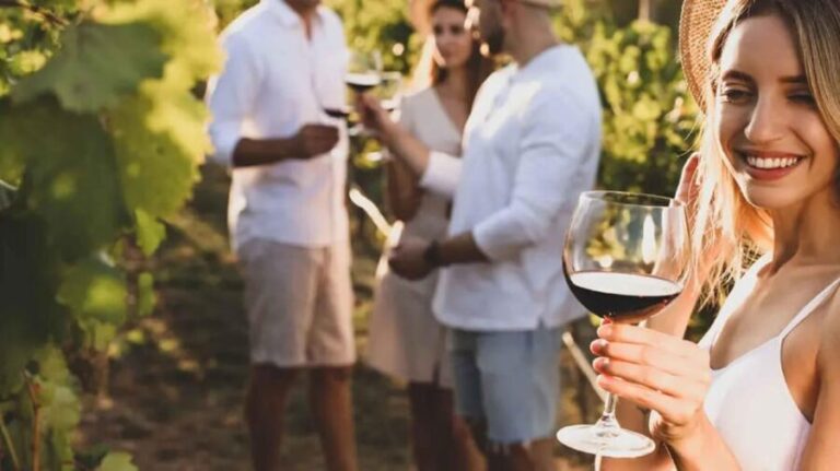 Trasimeno: Discovering Montemelino Wine Experience - Who Would Enjoy This Tour?