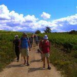 Trek & Wine in Priorat - Why Choose This Tour?