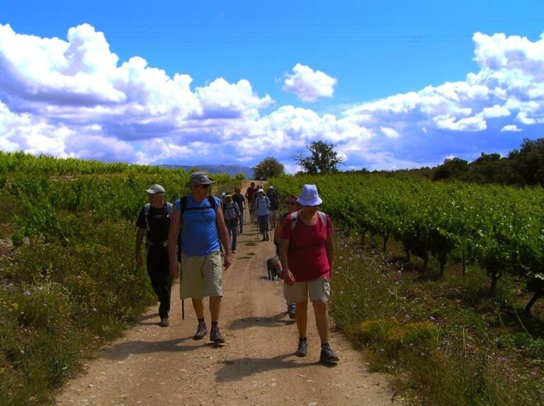 Trek & Wine in Priorat - Why Choose This Tour?