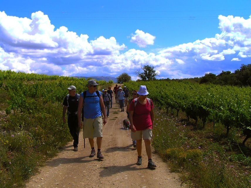 Trek & Wine in Priorat - Why Choose This Tour?